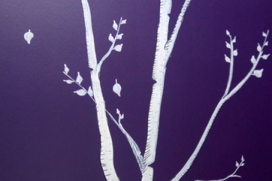 Dessins personnalisés sur les murs
